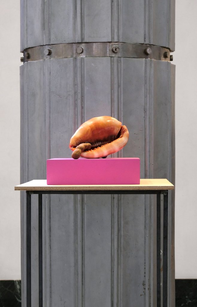 As x as y Jubiläumsausstellung zur deutsch-polnischen Städtepartnerschaft zwischen Düsseldorf und Warschau. Mit Mateusz Choróbski, Paul Czerlitzki, Zuza Golińska, Klara Kayser, Gizela Mickiewicz, Ulrike Möschel, Katarzyna Przezwańska und Angelika J. Trojnarski.