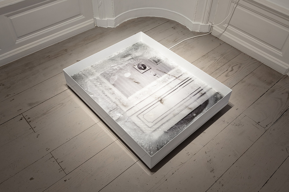 Die Ähnlichkeit im Unterschied, Installationsansicht, Düsseldorf, 2019, Hanne Brandt © Curated Affairs