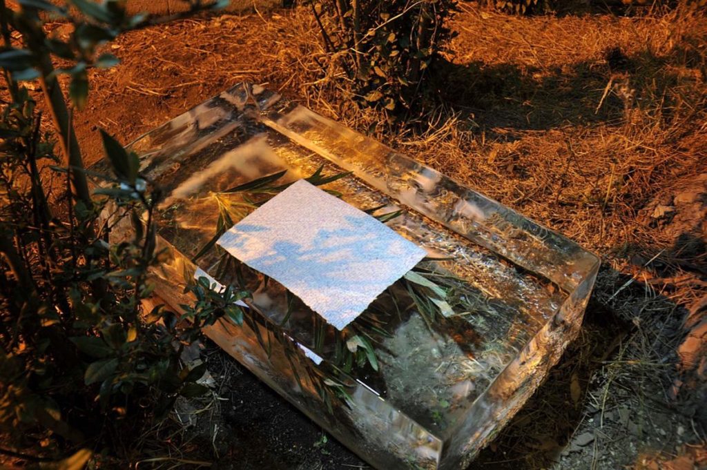 Paula Doepfner, And shine their emptiness down on my bed, Eis, Stift auf Papier, Pflanze, 100 x 50 x 25 cm, 2017. Foto: Giorgio Benni, artQ13, Rom