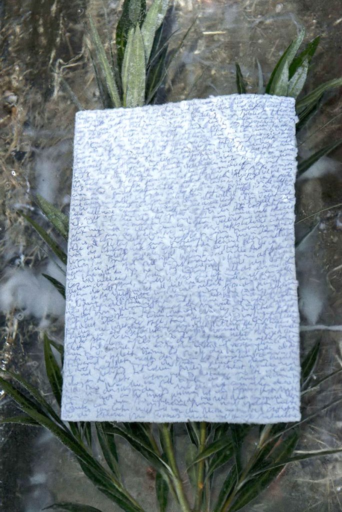 Detail zu: Paula Doepfner, And shine their emptiness down on my bed, Eis, Stift auf Papier, Pflanze, 100 x 50 x 25 cm, 2017
